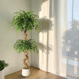Op de afbeelding: Een hoge kunstmatige ficusboom met twee afzonderlijke, ronde lagen van weelderige groene bladeren. De stam bestaat uit gedraaide, lichtbruine houten stengels die in een spiraal omhoog groeien vanuit een gladde witte pot.