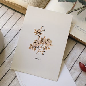 Cartolina Rosa Illustrata, Biglietto Botanico, Mini Stampa Cottagecore, Cartolina Just Because, Sostenibile e Riciclabile, Bacheca Decor