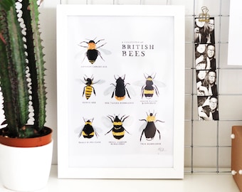 Collection of British Bees Print - A4, A3