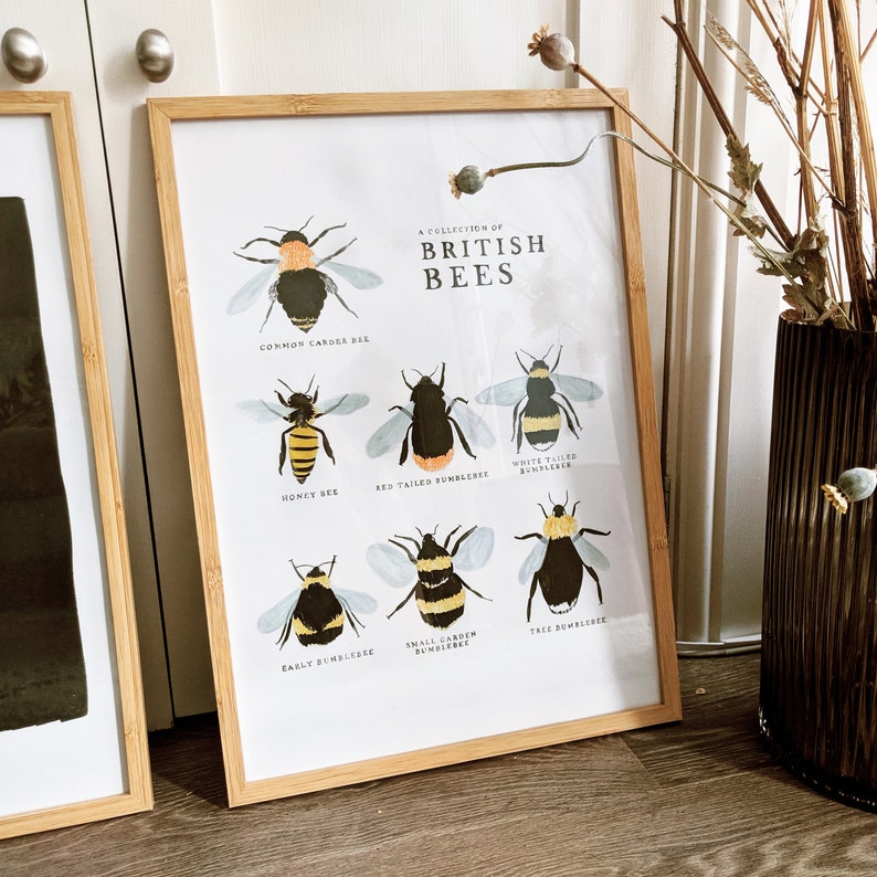 Collection of British Bees Print A4, A3 image 2
