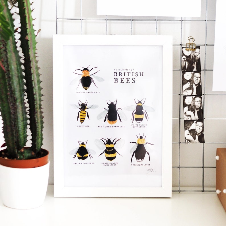 Collection of British Bees Print A4, A3 image 1
