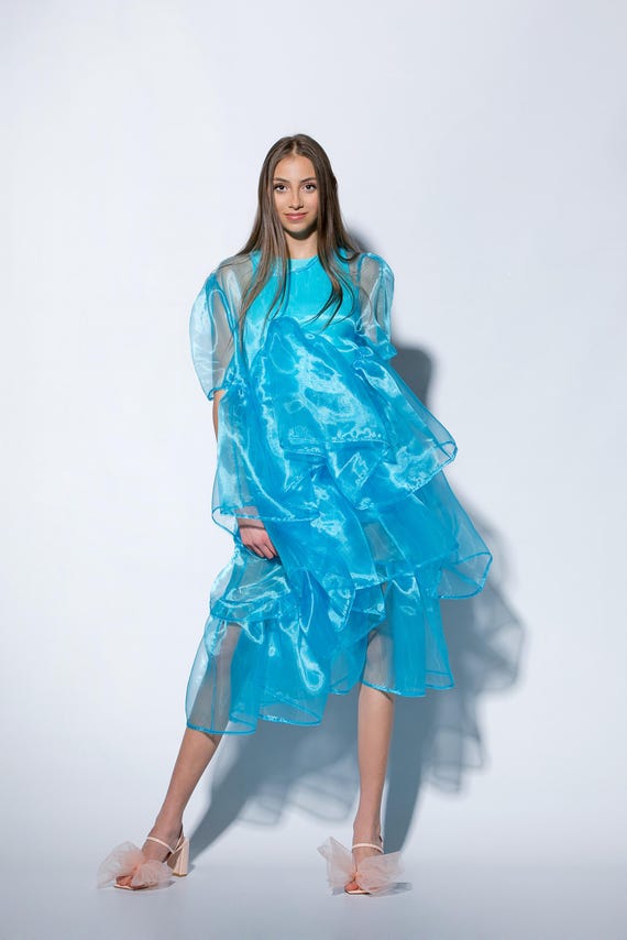 Organza Sheer Dress, Graduation Dress, See Through Prom Custom Dress by  Measurements - Etsy Ireland