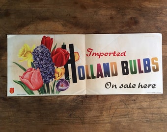 dutchbulbs free shipping