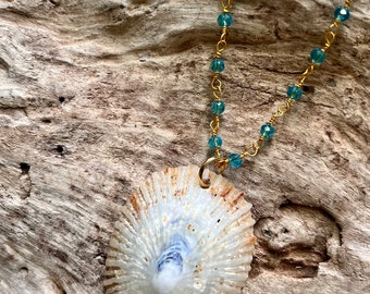 Hawaiian Opihi Shell Statement Necklace