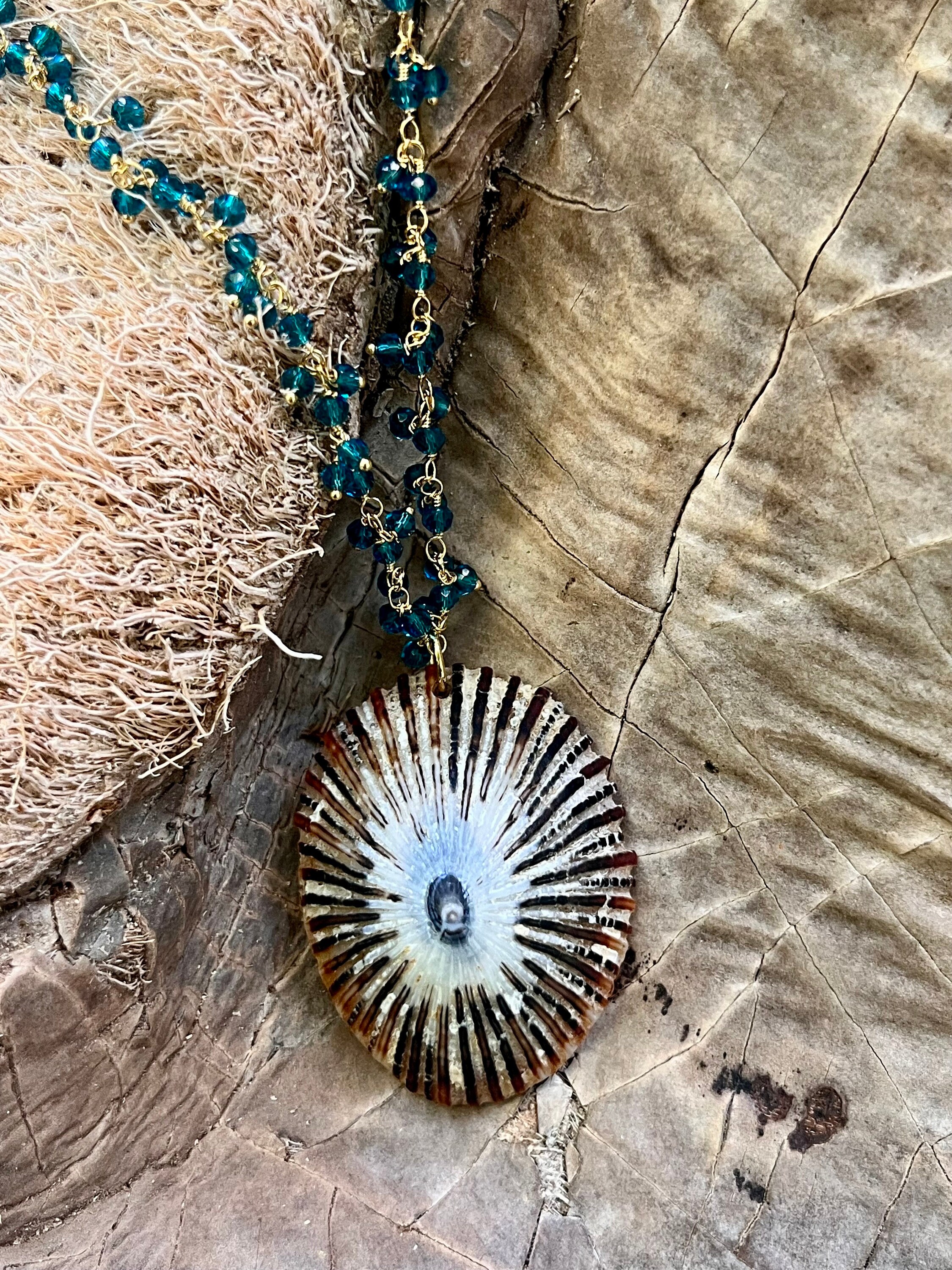 Opihi hotsell shell necklace