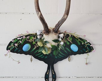 Roe deer antler on Lunar moth frame - crystalised with gemstones & flowers