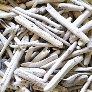 100 Small Driftwood Pieces -- Bulk Driftwood Supply From 1.2" to 9"-- Natural Wood Finds -- For Crafting and DIY projects, Terrarium Decor