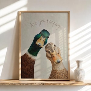 May include: A framed wall art print featuring two ducks looking forward with the text Are you pooping? written in a simple script font above them. The duck on the left has a green head and brown body, while the duck on the right is brown.