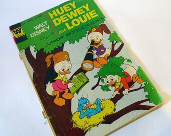 Walt Disney's Huey, Dewey and Louie Junior Woodchucks #15 (Gold Key) 1972