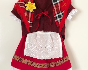 Traditional Style Welsh Lady Costume, St. David's Day