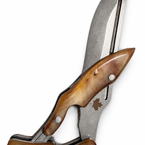 May include: A folding knife with a metallic blade featuring a cutout slot and a small brown maple leaf emblem. The handle is constructed from two pieces of polished, light brown horn with visible natural grain, secured by silver metal rivets.