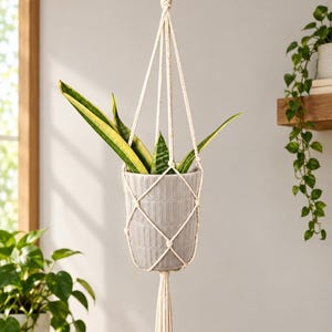 May include: A light grey cylindrical ceramic planter with a vertical ribbed texture, held by a cream-coloured macrame cord hanger. The planter contains a snake plant with long, pointed green and yellow leaves. A decorative tassel hangs below.