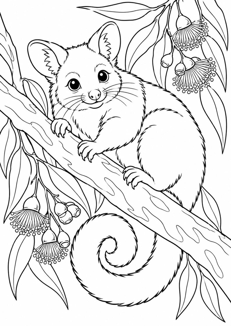 May include: A black and white line art illustration of a possum perched on a tree branch. The possum has large eyes and a curled tail. Surrounding the animal are eucalyptus leaves and several flowering gum blossoms with long, thin stamens.
