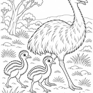 May include: A black and white line art colouring page illustration featuring an adult emu standing next to two small emu chicks. The birds are positioned in a grassy landscape with trees and bushes in the background, rendered in a clear, bold outline style.