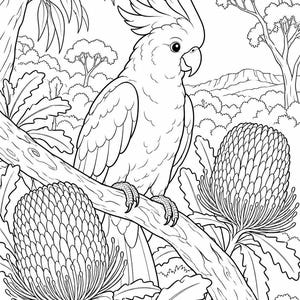 May include: A black and white line art colouring page featuring a cockatoo perched on a tree branch. The scene includes two large, textured banksia flowers in the foreground and a background of trees and distant hills under a clear sky.