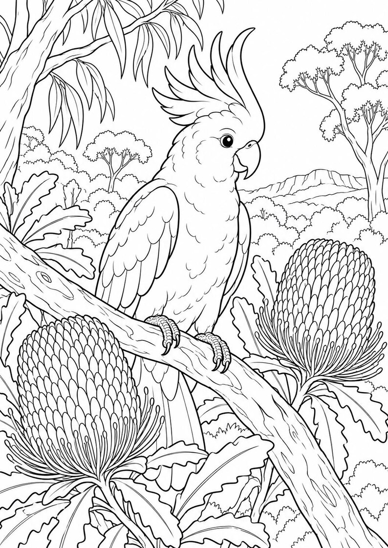 May include: A black and white line art colouring page featuring a cockatoo perched on a tree branch. The scene includes two large, textured banksia flowers in the foreground and a background of trees and distant hills under a clear sky.