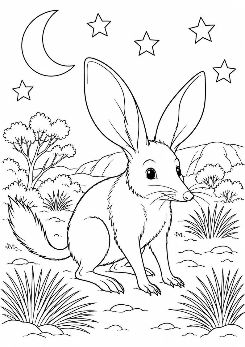 May include: A black and white line art colouring page featuring a bilby with large ears sitting in a desert landscape. The scene includes a crescent moon and four stars in the sky, with sparse bushes, tufts of grass, and rolling hills in the background.