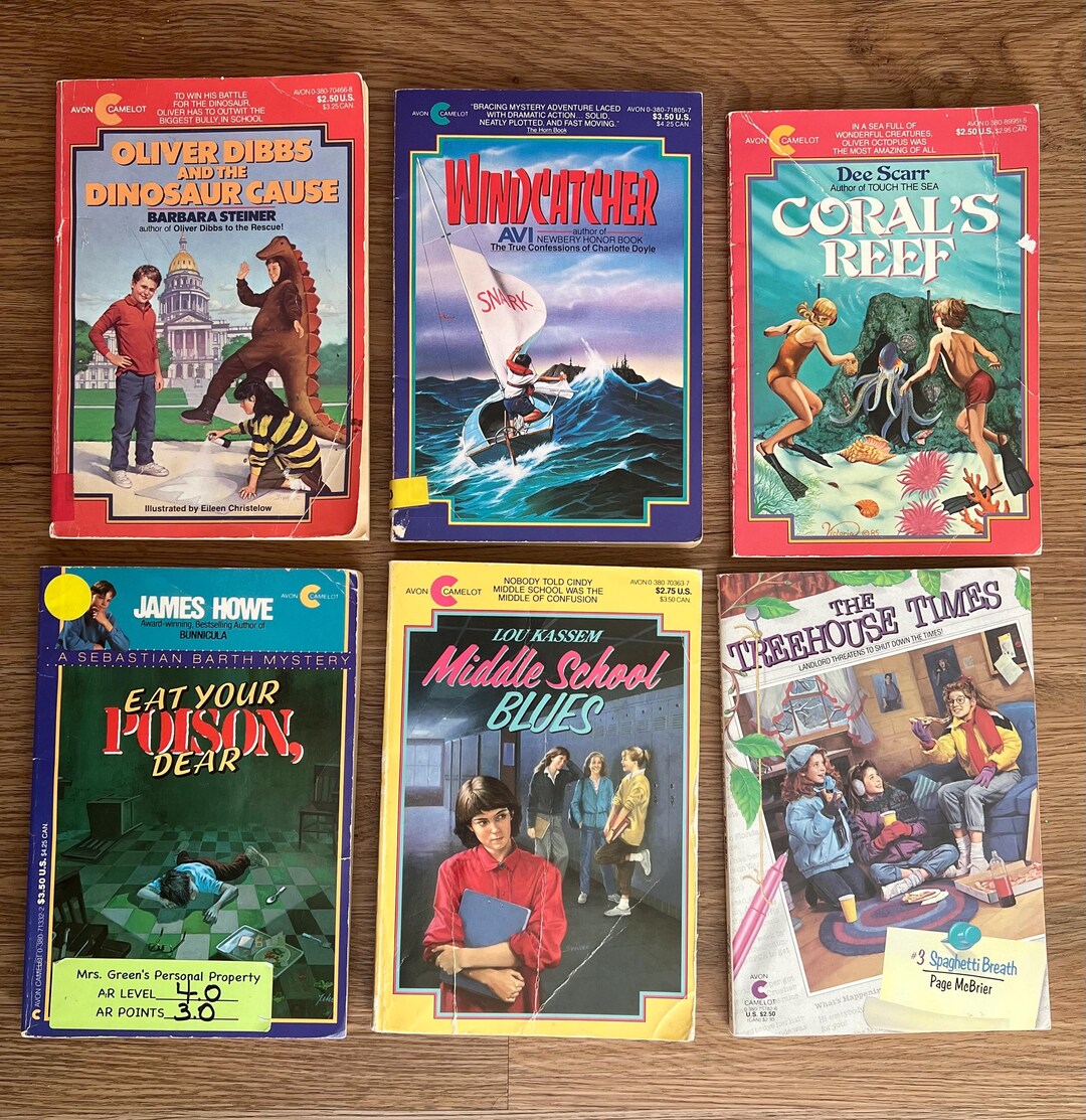 Vintage Avon Camelot Paperback Book Set: 1980s-90s Kids Fiction - Etsy