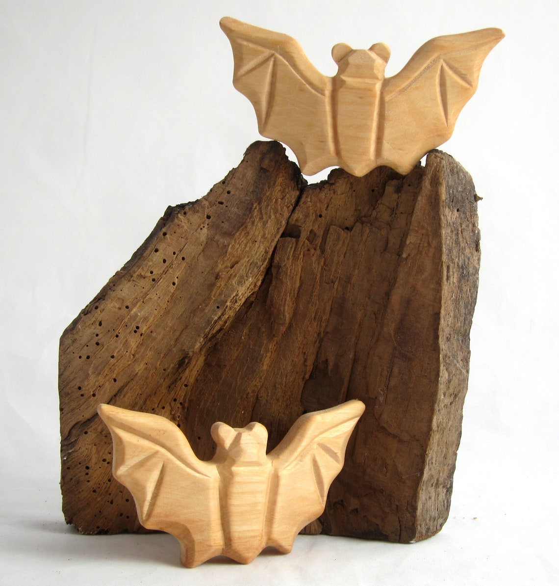 Chauves-souris accrochées à un panneau en bois sur une branche d'arbre