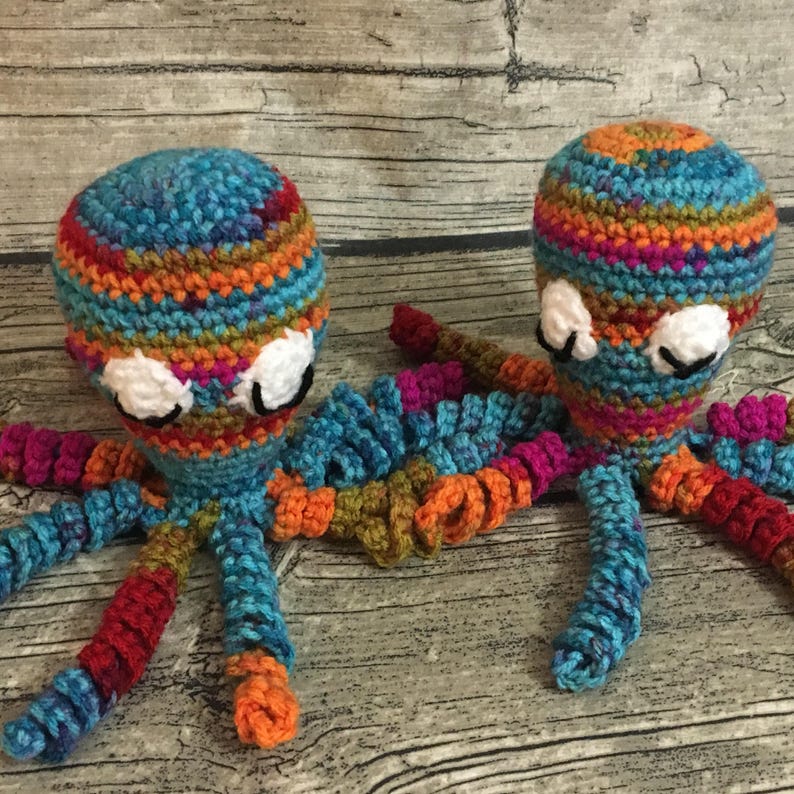 Twin Rainbow Octopuses Nicu Octopus Rainbow Baby Twin Etsy