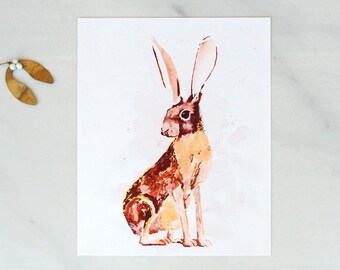 Lapin Jack, 8 x 10