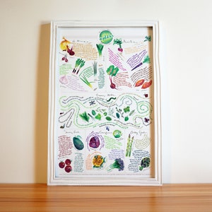 May include: A white framed poster with a colorful illustration of different vegetables and herbs. The poster is divided into sections with titles like "Roots", "Leafy Greens", "Flowers to Eat", and "Spring Garden". Each section has a description of the vegetables and herbs, along with their growing season.