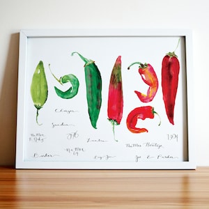 New Mexico Hatch Chile Varieties Print, 11x14