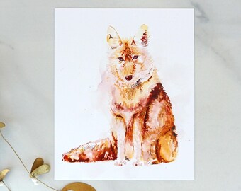 Impression coyote, 8 x 10