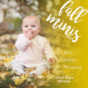 May include: A baby sitting in a pile of yellow leaves, wearing a pink and white shirt and grey pants. The text "fall minis $150" is written in white on a yellow background. The text "30 min 10 images print release" is written in black on a yellow background. The text "Amanda Brayton Photography" is written in black on a yellow background.