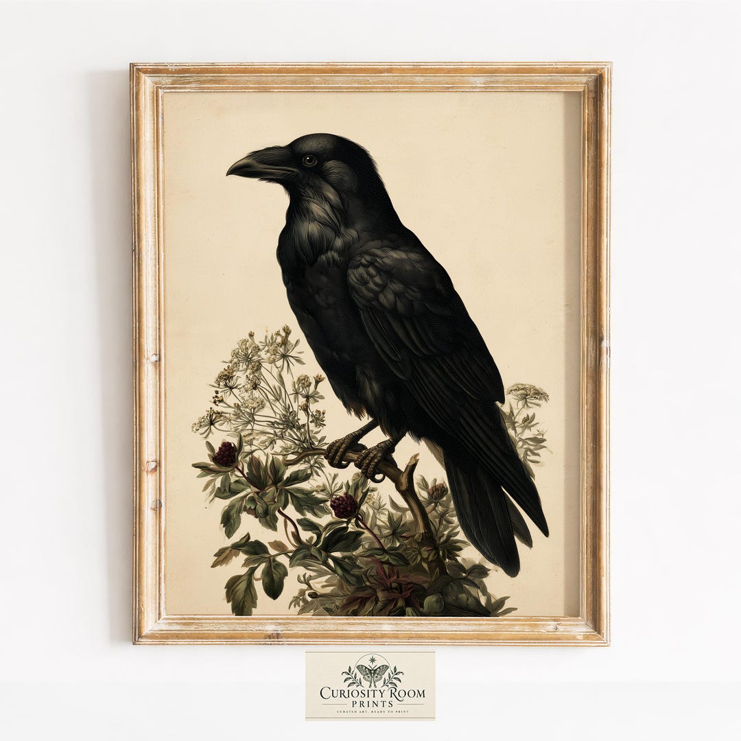 Gothic Raven Among Berries, Vintage Natural History Printable Wall Art (digital Download) 59 - Etsy