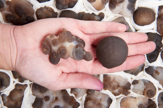 ファンタジアの素材: モロッコ産のバブルアゲート原石 (別名ブドウ状