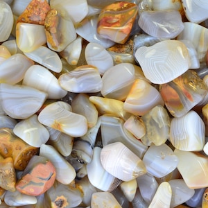 May include: A collection of smooth, polished agate stones in shades of white, brown, and orange. The stones have a variety of patterns and textures.