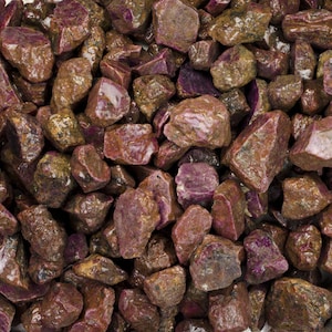 May include: A close-up view of a collection of rough, red ruby gemstones. The stones are various sizes and shapes, with a deep red color and a slightly translucent appearance.