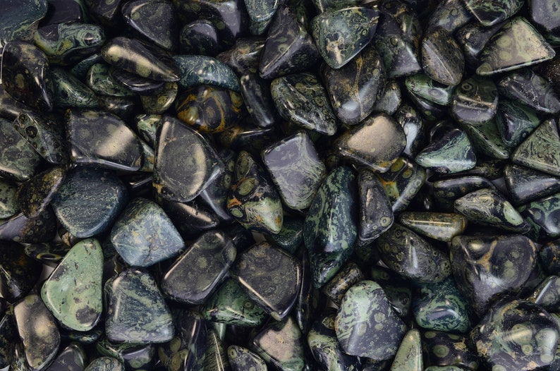 - Premium Polished Rocks! Small Fantasia Materials: 10 pcs Tumbled Crocodile Jasper Stones from Madagascar 0.75 to 1.25 Avg