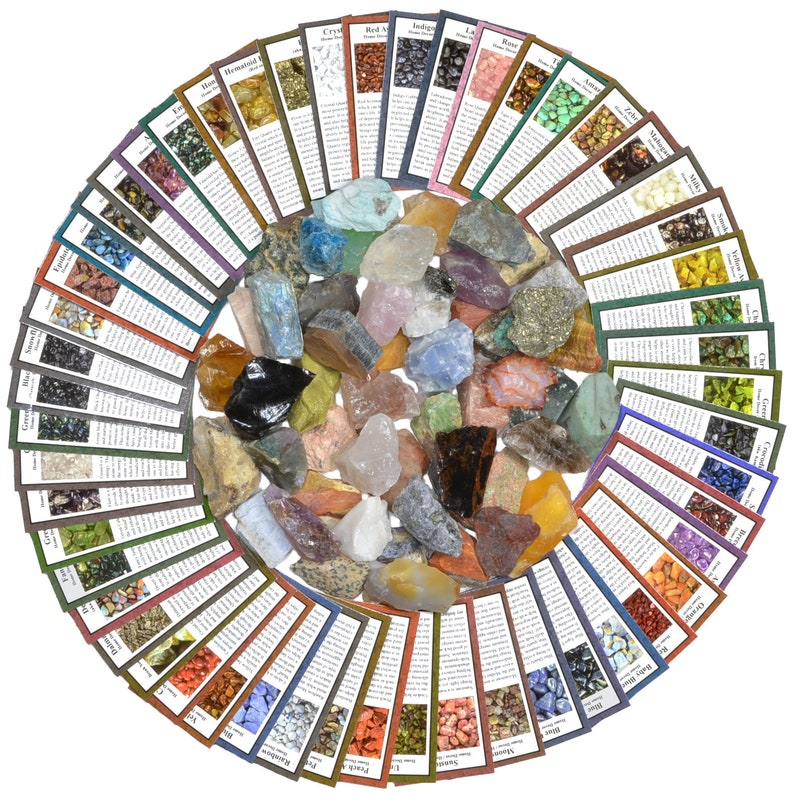 50 Different Rough Stones with Identification Cards The Best Starter Rock Collection and Activity Kit Activity Kit