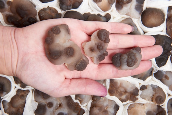 アゲート　モロッコ　原石 アゲート メノウ（瑪瑙）ノジュール モロッコ産 28g/原石・鉱物