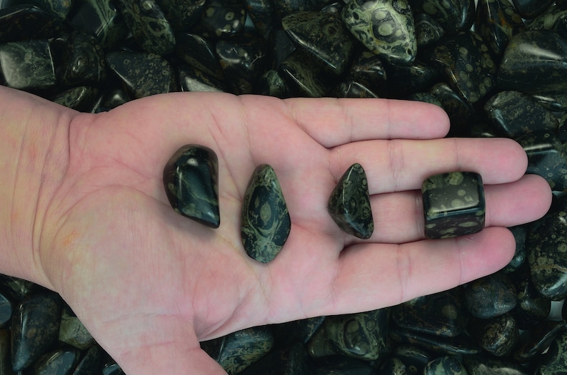 - Premium Polished Rocks! Small Fantasia Materials: 10 pcs Tumbled Crocodile Jasper Stones from Madagascar 0.75 to 1.25 Avg