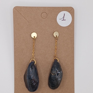 Peut inclure: Une paire de boucles d'oreilles pendantes composées de coquilles de moules bleu-noir foncé suspendues à des chaînes en métal doré et des clous circulaires. Les boucles sont fixées sur un carton de présentation marron avec le chiffre 1.