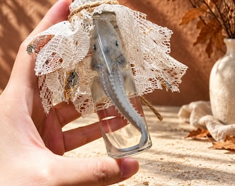 May include: A clear glass vial containing a small, pale, preserved axolotl specimen. The top of the vial is wrapped in white lace fabric and secured with a piece of natural jute twine, creating a decorative, layered appearance around the bottle neck.