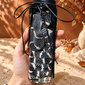 May include: A clear cylindrical glass bottle containing a coiled black and white patterned snake. The top of the bottle is sealed with black wax that drips down the sides, and a thin black cord is tied around the neck in a decorative bow.