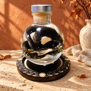 May include: A clear glass spherical bottle containing a preserved dark-coloured snake submerged in liquid. The bottle has a silver-coloured cap and rests on a circular black wooden base decorated with gold-coloured moon phase symbols and a sun icon.