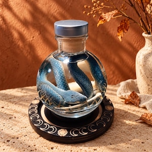 May include: A clear glass spherical bottle containing a coiled blue snake submerged in liquid, topped with a silver cap. The bottle rests on a circular black wooden base decorated with gold-coloured moon phase symbols and a central sun design.