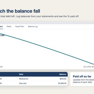 Debt Payoff Tracker Spreadsheet, Debt Snowball & Avalanche Calculator, Credit Card Payoff Planner, Debt Free Plan (Excel/Google Sheets) image 5