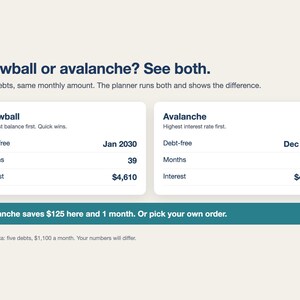 Debt Payoff Tracker Spreadsheet, Debt Snowball & Avalanche Calculator, Credit Card Payoff Planner, Debt Free Plan (Excel/Google Sheets) image 2