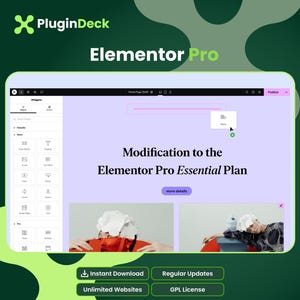 May include: A digital interface showing the Elementor Pro editor with a sidebar of widgets and a central canvas displaying the text Modification to the Elementor Pro Essential Plan, with buttons for Instant Download and Regular Updates below.