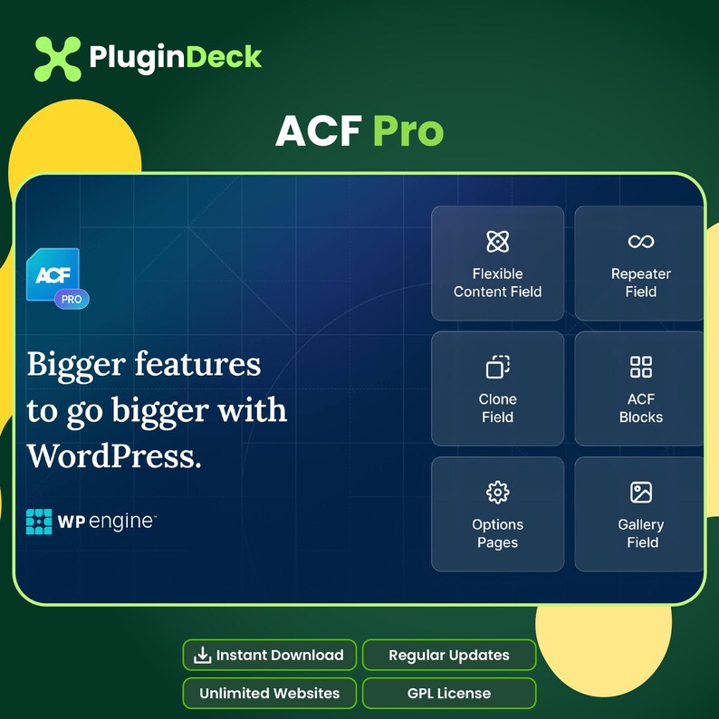 Paquete de plugins de WordPress / Bricks Builder, ACF Pro, Perfmatters y Rank Math Pro / Conjunto de herramientas para desarrolladores imagen 4