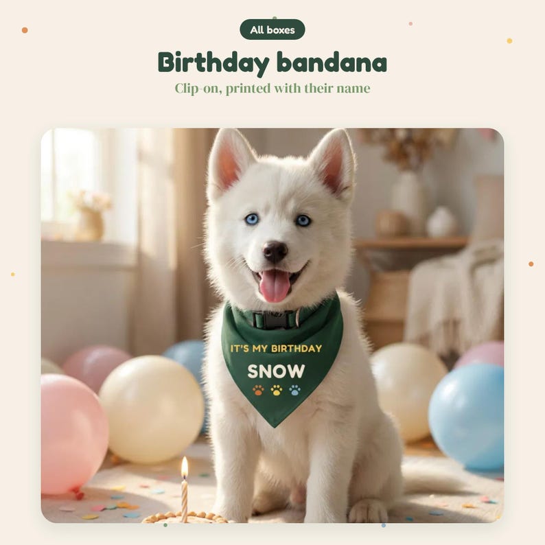 Pode incluir: Um cachorro branco de olhos azuis usa uma bandana verde-escura com clipe. A bandana apresenta o texto IT'S MY BIRTHDAY e o nome SNOW em branco, acompanhados por tr&ecirc;s pequenos &iacute;cones de pegadas nas cores laranja, amarelo e azul.