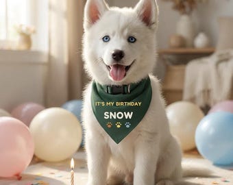 Personalized Dog Birthday Bandana with Name, Its My Birthday Dog Bandana, Clip On Pet Bandana, Dog Party Outfit, Puppy Birthday Gift