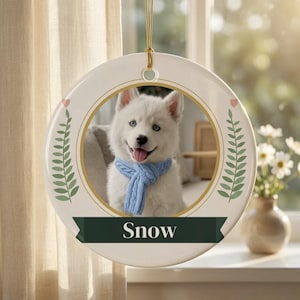 Enfeite Memorial para Animais de Estimação com Foto, Presente Personalizado em Memória de Cães, Enfeite para Perda de Gatos, Presente de Condolências para Animais de Estimação, Lembrança da Ponte do Arco-Íris imagem 2