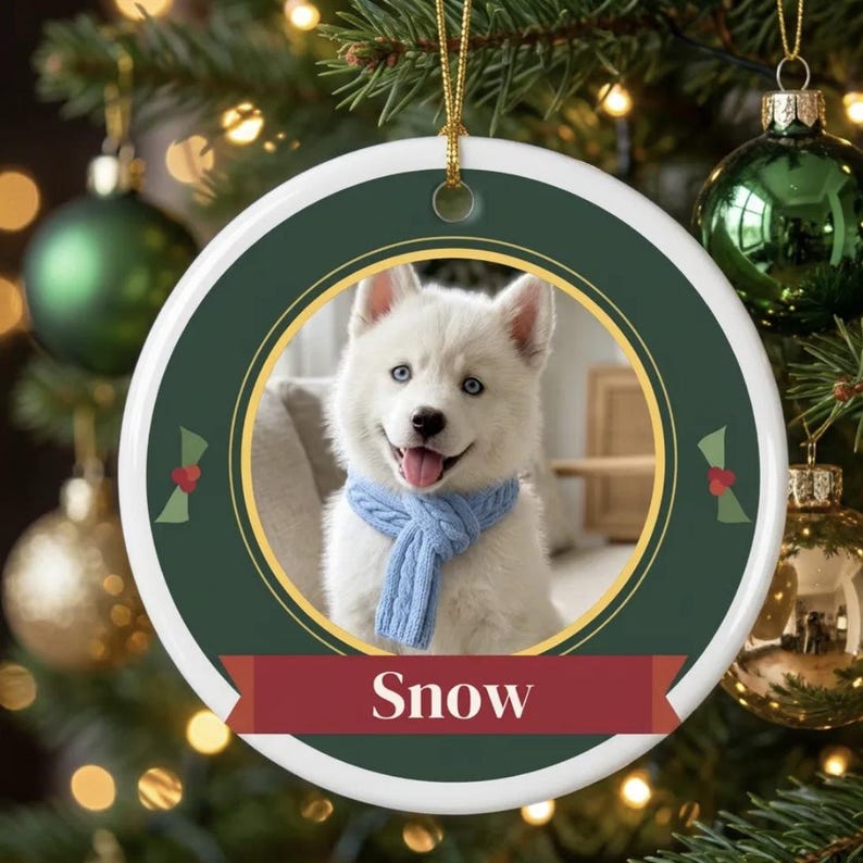 Personalisierter Weihnachtsbaumschmuck mit Haustierfoto, Hunde-Weihnachtsbaumschmuck mit Namen, Katzen-Weihnachtsbaumschmuck mit Foto, Haustier-Weihnachtsbaumschmuck 2026, Weihnachtsgeschenk für Hundebesitzerinnen Bild 1